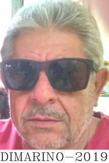 media/pina15 - Dimarino - 2019.jpg